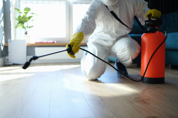 Reliable Sewage Cleanup contractor in Yosemite National Park, CA by Trauma Clean Pros